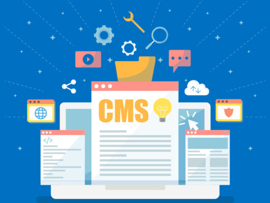 CMS Development